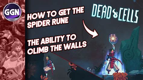 Then I had to learn shields to beat the Watcher for the last rune, but getting all of them should be a priority for anybody. . Dead cells spider rune